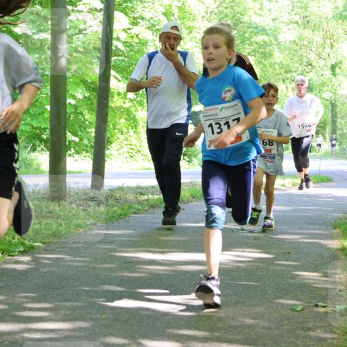 17.05.2025 - Störlauf Strokosch-Dieckow http://msf.ph/oto/7856711 17.05.2025 14:43:31 Laufen 2025, 1316, 1317, 68, 1546, 1177 meine-sportfotos.de
