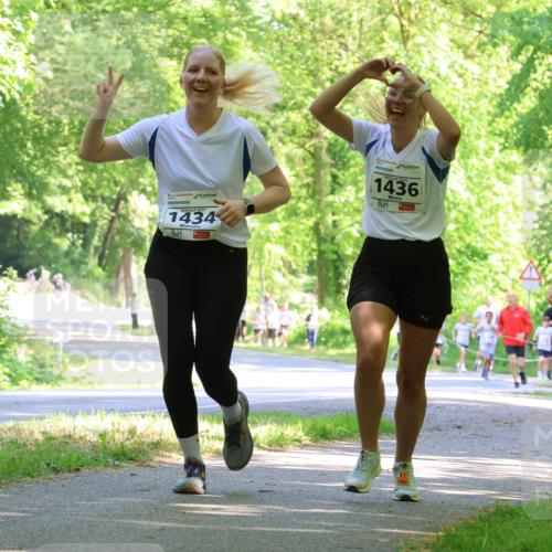 17.05.2025 - Störlauf Strokosch-Dieckow http://msf.ph/oto/7856823 17.05.2025 14:44:03 Laufen 2025, 1434, 1436, 1577 meine-sportfotos.de