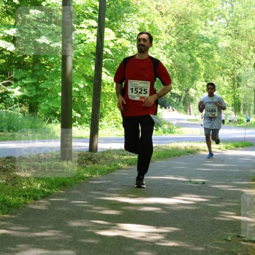 17.05.2025 - Störlauf Strokosch-Dieckow http://msf.ph/oto/7856866 17.05.2025 14:44:21 Laufen 1525, 1486, 147 meine-sportfotos.de