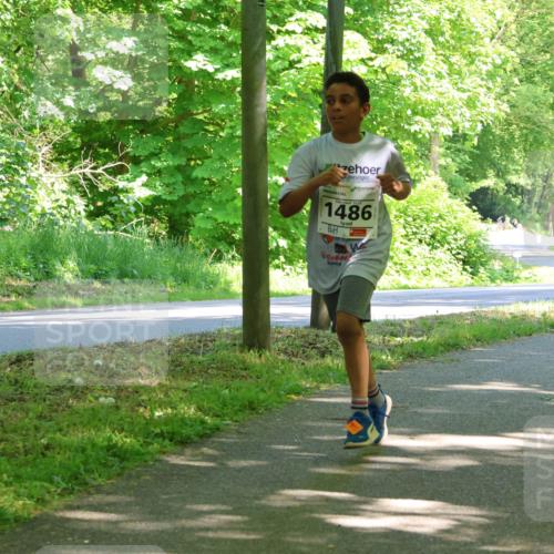 17.05.2025 - Störlauf Strokosch-Dieckow http://msf.ph/oto/7856873 17.05.2025 14:44:24 Laufen 1486 meine-sportfotos.de