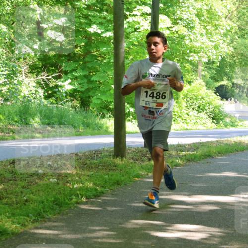 17.05.2025 - Störlauf Strokosch-Dieckow http://msf.ph/oto/7856875 17.05.2025 14:44:24 Laufen 1486 meine-sportfotos.de