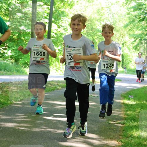 17.05.2025 - Störlauf Strokosch-Dieckow http://msf.ph/oto/7857013 17.05.2025 14:44:58 Laufen 23, 1668, 12, 1245 meine-sportfotos.de