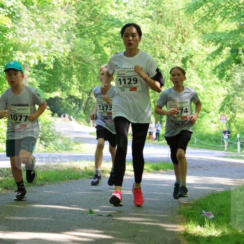 17.05.2025 - Störlauf Strokosch-Dieckow http://msf.ph/oto/7857030 17.05.2025 14:45:02 Laufen 1077, 1373, 2025, 1129, 74, 1173 meine-sportfotos.de