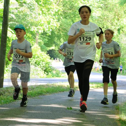 17.05.2025 - Störlauf Strokosch-Dieckow http://msf.ph/oto/7857040 17.05.2025 14:45:02 Laufen 1077, 137, 1129, 74 meine-sportfotos.de