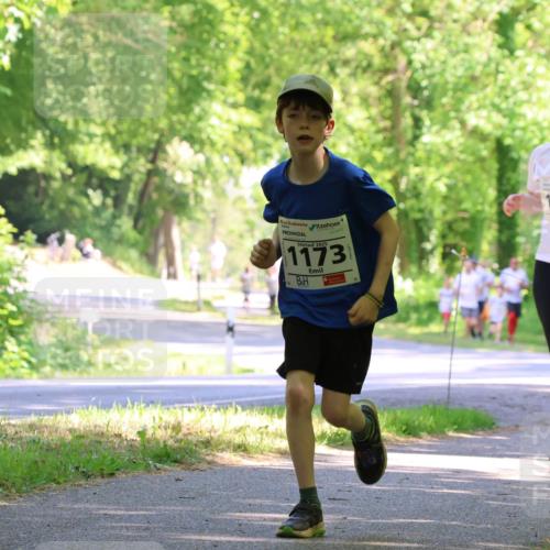 17.05.2025 - Störlauf Strokosch-Dieckow http://msf.ph/oto/7857049 17.05.2025 14:45:07 Laufen 2025, 1173, 1430, 1398 meine-sportfotos.de