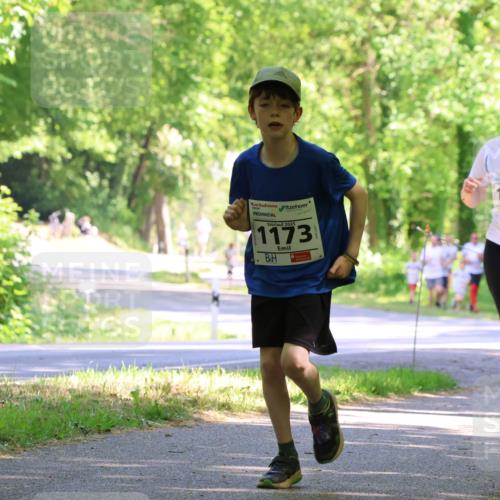 17.05.2025 - Störlauf Strokosch-Dieckow http://msf.ph/oto/7857051 17.05.2025 14:45:07 Laufen 2025, 1173, 1430, 1398 meine-sportfotos.de