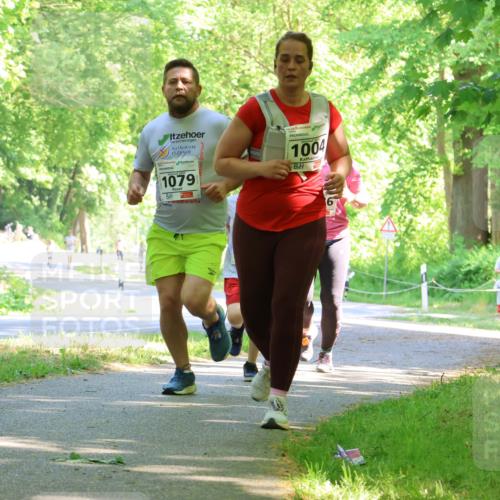 17.05.2025 - Störlauf Strokosch-Dieckow http://msf.ph/oto/7857112 17.05.2025 14:45:20 Laufen 1079, 1004, 75 meine-sportfotos.de