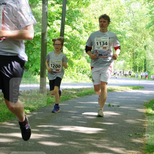 17.05.2025 - Störlauf Strokosch-Dieckow http://msf.ph/oto/7857212 17.05.2025 14:46:06 Laufen 2025, 1031, 1200, 1134, 1445, 12061, 1444 meine-sportfotos.de
