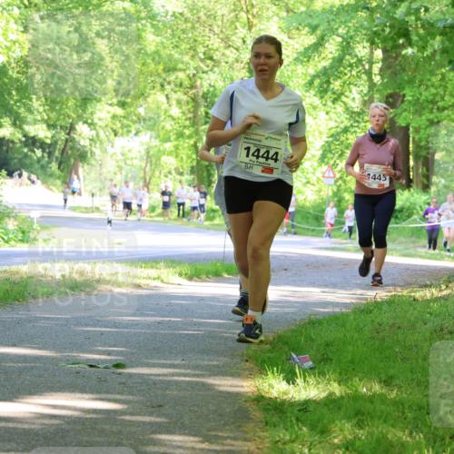 17.05.2025 - Störlauf Strokosch-Dieckow http://msf.ph/oto/7857214 17.05.2025 14:46:08 Laufen 1444, 445 meine-sportfotos.de