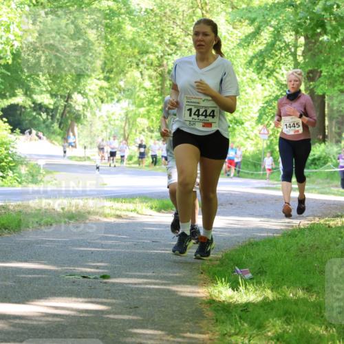 17.05.2025 - Störlauf Strokosch-Dieckow http://msf.ph/oto/7857220 17.05.2025 14:46:08 Laufen 1444, 1445 meine-sportfotos.de