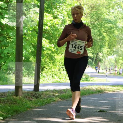 17.05.2025 - Störlauf Strokosch-Dieckow http://msf.ph/oto/7857228 17.05.2025 14:46:13 Laufen 2025, 1445 meine-sportfotos.de
