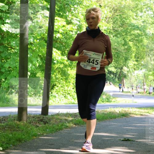 17.05.2025 - Störlauf Strokosch-Dieckow http://msf.ph/oto/7857233 17.05.2025 14:46:13 Laufen 2025, 445 meine-sportfotos.de