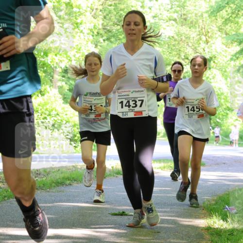 17.05.2025 - Störlauf Strokosch-Dieckow http://msf.ph/oto/7857271 17.05.2025 14:46:28 Laufen 2025, 203, 145, 2025, 1437, 145, 047 meine-sportfotos.de