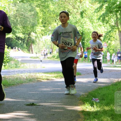 17.05.2025 - Störlauf Strokosch-Dieckow http://msf.ph/oto/7857297 17.05.2025 14:46:31 Laufen 2025, 4811, 2025, 1047, 1230, 118 meine-sportfotos.de