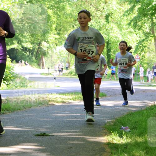 17.05.2025 - Störlauf Strokosch-Dieckow http://msf.ph/oto/7857300 17.05.2025 14:46:31 Laufen 2025, 1481, 1047, 1414 meine-sportfotos.de