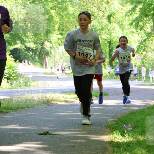 17.05.2025 - Störlauf Strokosch-Dieckow http://msf.ph/oto/7857307 17.05.2025 14:46:31 Laufen 2025, 1481, 1047, 1414 meine-sportfotos.de