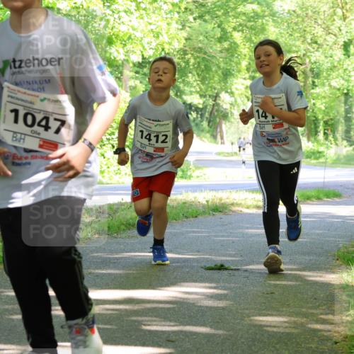 17.05.2025 - Störlauf Strokosch-Dieckow http://msf.ph/oto/7857323 17.05.2025 14:46:33 Laufen 2025, 1047, 1412, 14, 13 meine-sportfotos.de