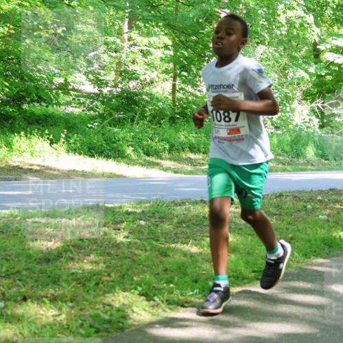 17.05.2025 - Störlauf Strokosch-Dieckow http://msf.ph/oto/7857432 17.05.2025 14:46:49 Laufen 1087 meine-sportfotos.de