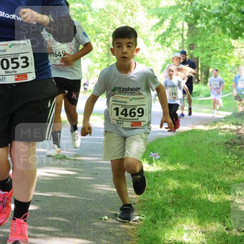17.05.2025 - Störlauf Strokosch-Dieckow http://msf.ph/oto/7857488 17.05.2025 14:46:58 Laufen 2025, 1053, 1649, 30, 2025, 1469, 1276 meine-sportfotos.de