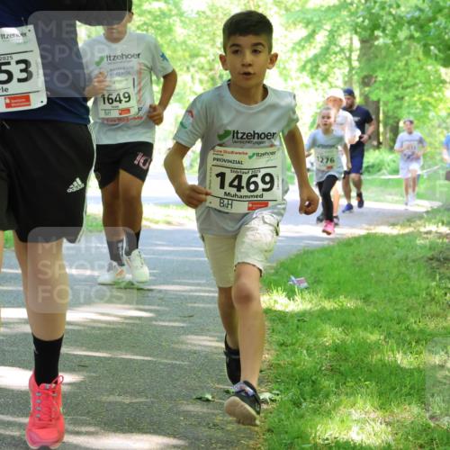 17.05.2025 - Störlauf Strokosch-Dieckow http://msf.ph/oto/7857493 17.05.2025 14:46:58 Laufen 2025, 1053, 1649, 10, 1276, 2025, 1469 meine-sportfotos.de