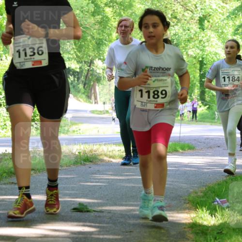 17.05.2025 - Störlauf Strokosch-Dieckow http://msf.ph/oto/7857635 17.05.2025 14:48:01 Laufen 1136, 2925, 1189, 1184, 1301, 10 meine-sportfotos.de