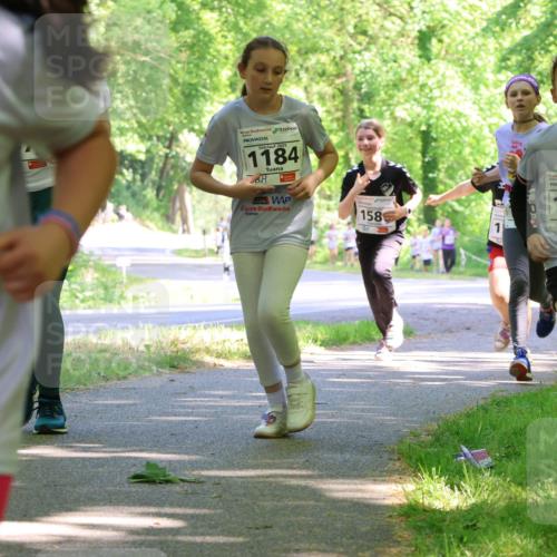 17.05.2025 - Störlauf Strokosch-Dieckow http://msf.ph/oto/7857641 17.05.2025 14:48:03 Laufen 2025, 1184, 1585, 89, 2025, 1301 meine-sportfotos.de