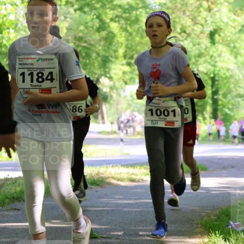 17.05.2025 - Störlauf Strokosch-Dieckow http://msf.ph/oto/7857659 17.05.2025 14:48:05 Laufen 2025, 1184, 86, 2025, 10010 meine-sportfotos.de
