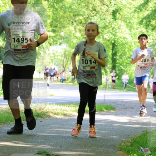17.05.2025 - Störlauf Strokosch-Dieckow http://msf.ph/oto/7857678 17.05.2025 14:48:13 Laufen 2025, 1495, 2025, 1014, 1389, 1569 meine-sportfotos.de