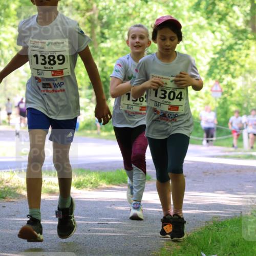 17.05.2025 - Störlauf Strokosch-Dieckow http://msf.ph/oto/7857695 17.05.2025 14:48:16 Laufen 2025, 1389, 196, 2025, 1304 meine-sportfotos.de