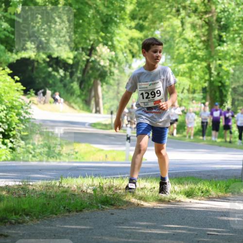 17.05.2025 - Störlauf Strokosch-Dieckow http://msf.ph/oto/7857717 17.05.2025 14:48:31 Laufen 2025, 1299 meine-sportfotos.de