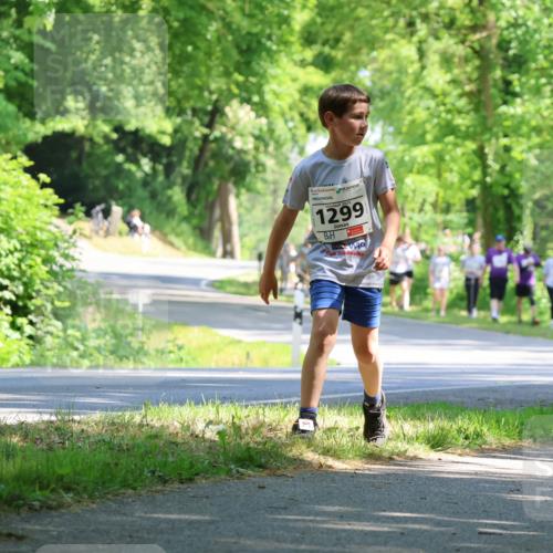 17.05.2025 - Störlauf Strokosch-Dieckow http://msf.ph/oto/7857720 17.05.2025 14:48:31 Laufen 2025, 1299, 129 meine-sportfotos.de