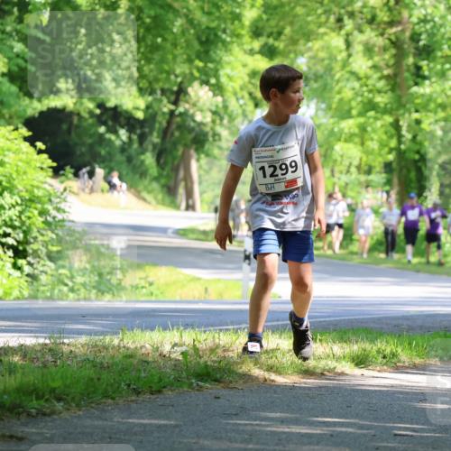 17.05.2025 - Störlauf Strokosch-Dieckow http://msf.ph/oto/7857724 17.05.2025 14:48:31 Laufen 2025, 1299, 129 meine-sportfotos.de