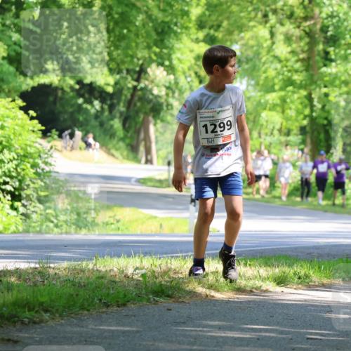17.05.2025 - Störlauf Strokosch-Dieckow http://msf.ph/oto/7857727 17.05.2025 14:48:31 Laufen 2025, 1299, 1291 meine-sportfotos.de