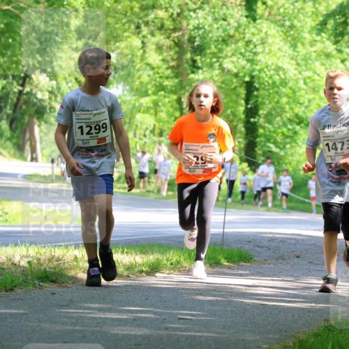 17.05.2025 - Störlauf Strokosch-Dieckow http://msf.ph/oto/7857731 17.05.2025 14:48:32 Laufen 1299, 29, 1473, 84, 324 meine-sportfotos.de