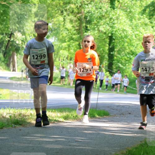 17.05.2025 - Störlauf Strokosch-Dieckow http://msf.ph/oto/7857734 17.05.2025 14:48:32 Laufen 1299, 944, 129, 1473, 484, 324 meine-sportfotos.de