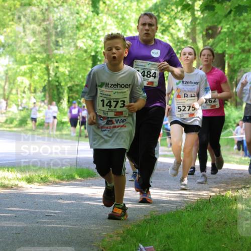 17.05.2025 - Störlauf Strokosch-Dieckow http://msf.ph/oto/7857744 17.05.2025 14:48:34 Laufen 1473, 484, 5275, 262, 1322, 1491 meine-sportfotos.de