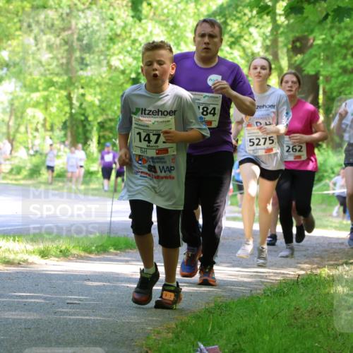17.05.2025 - Störlauf Strokosch-Dieckow http://msf.ph/oto/7857747 17.05.2025 14:48:34 Laufen 202, 147, 5, 2, 2025, 84, 5275, 262, 1322, 1491 meine-sportfotos.de