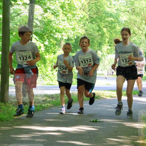 17.05.2025 - Störlauf Strokosch-Dieckow http://msf.ph/oto/7857787 17.05.2025 14:48:44 Laufen 1324, 1258, 1312, 132, 239, 31 meine-sportfotos.de