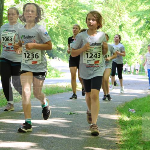 17.05.2025 - Störlauf Strokosch-Dieckow http://msf.ph/oto/7857818 17.05.2025 14:48:50 Laufen 2025, 239, 1083, 2025, 1236, 2025, 1243, 491, 1278 meine-sportfotos.de