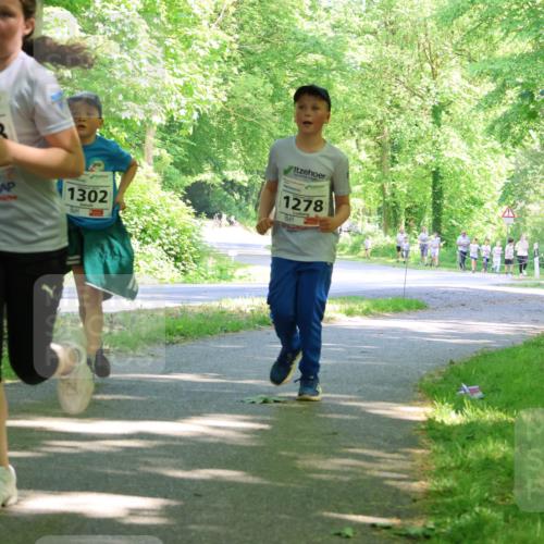 17.05.2025 - Störlauf Strokosch-Dieckow http://msf.ph/oto/7857844 17.05.2025 14:48:54 Laufen 1208, 1302, 1278 meine-sportfotos.de