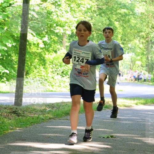 17.05.2025 - Störlauf Strokosch-Dieckow http://msf.ph/oto/7857965 17.05.2025 14:49:30 Laufen 2025, 1247, 121, 25, 5, 1025, 6 meine-sportfotos.de