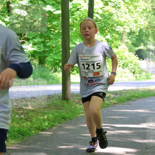 17.05.2025 - Störlauf Strokosch-Dieckow http://msf.ph/oto/7857976 17.05.2025 14:49:32 Laufen 16, 2025, 1247, 2025, 1215 meine-sportfotos.de