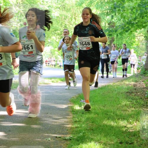 17.05.2025 - Störlauf Strokosch-Dieckow http://msf.ph/oto/7858038 17.05.2025 14:49:58 Laufen 2025, 1228, 1661, 1255, 1648, 1420, 1036, 1041 meine-sportfotos.de