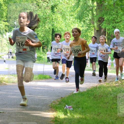 17.05.2025 - Störlauf Strokosch-Dieckow http://msf.ph/oto/7858133 17.05.2025 14:50:30 Laufen 126, 127, 1272, 1300, 1267, 12, 1249, 1428 meine-sportfotos.de