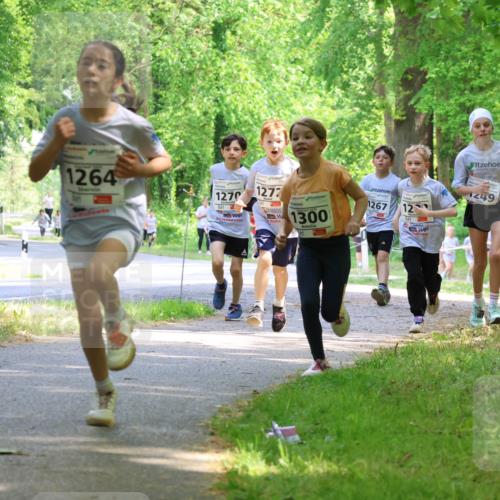 17.05.2025 - Störlauf Strokosch-Dieckow http://msf.ph/oto/7858135 17.05.2025 14:50:31 Laufen 1264, 1270, 1277, 1300, 1267, 12, 249, 1428 meine-sportfotos.de