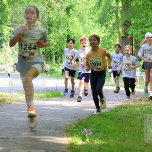 17.05.2025 - Störlauf Strokosch-Dieckow http://msf.ph/oto/7858139 17.05.2025 14:50:31 Laufen 1264, 12, 127, 1300, 1267, 1282, 1428 meine-sportfotos.de