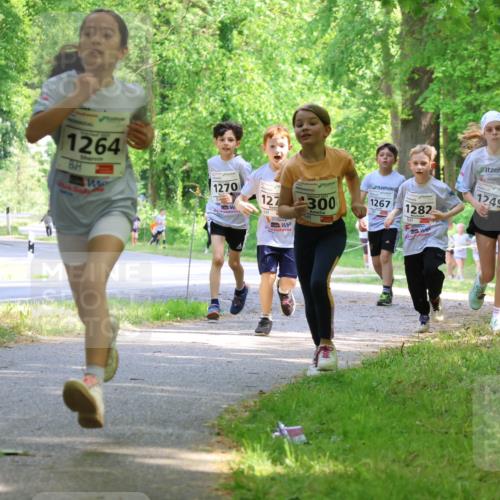 17.05.2025 - Störlauf Strokosch-Dieckow http://msf.ph/oto/7858142 17.05.2025 14:50:31 Laufen 1264, 1270, 127, 300, 1249, 1267, 1282, 1428 meine-sportfotos.de