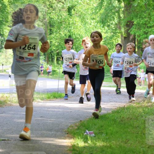 17.05.2025 - Störlauf Strokosch-Dieckow http://msf.ph/oto/7858145 17.05.2025 14:50:31 Laufen 264, 1270, 1300, 1267, 1282, 1428, 249 meine-sportfotos.de