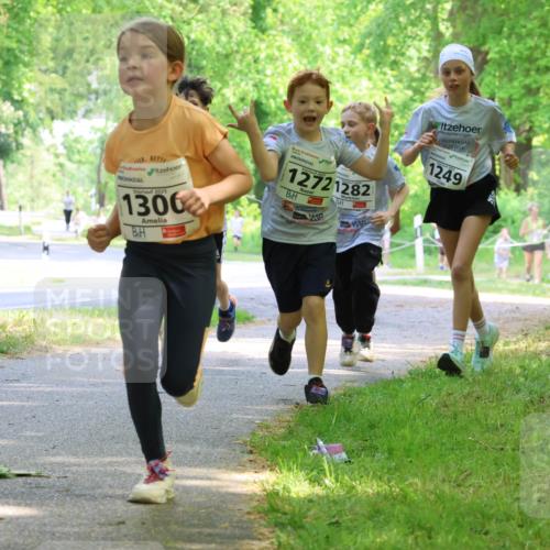 17.05.2025 - Störlauf Strokosch-Dieckow http://msf.ph/oto/7858150 17.05.2025 14:50:33 Laufen 2025, 1300, 12721282, 1249, 1428 meine-sportfotos.de