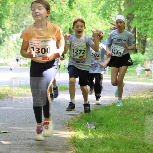 17.05.2025 - Störlauf Strokosch-Dieckow http://msf.ph/oto/7858155 17.05.2025 14:50:33 Laufen 2025, 1300, 1272, 282, 1249, 1428 meine-sportfotos.de